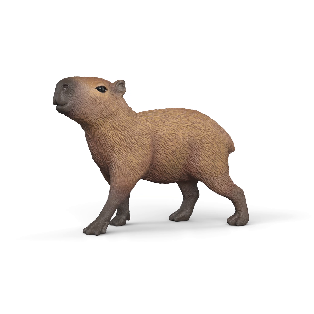 Schleich | Capybara