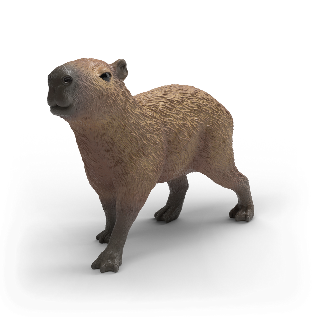 Schleich | Capybara