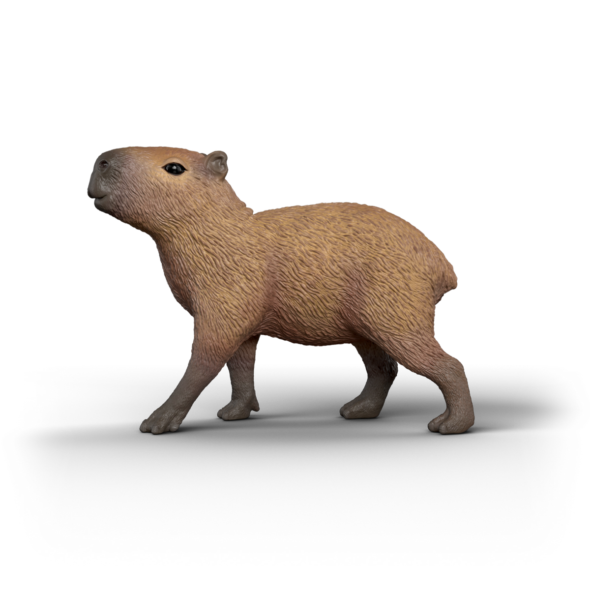 Schleich | Capybara
