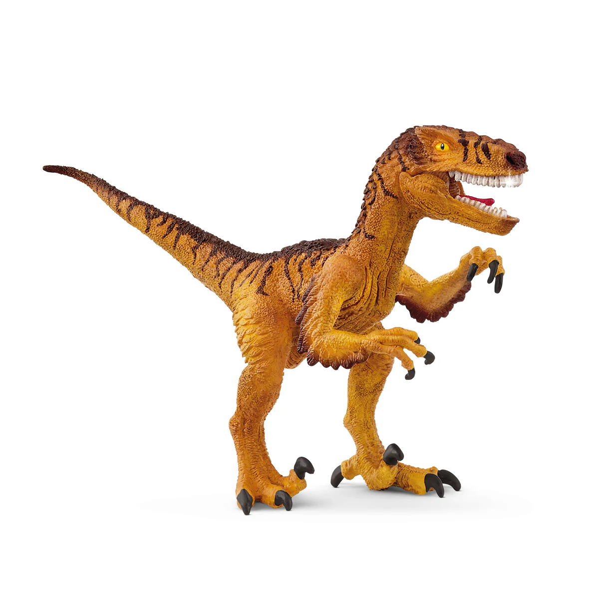 Toy dinosaur figure on a white background