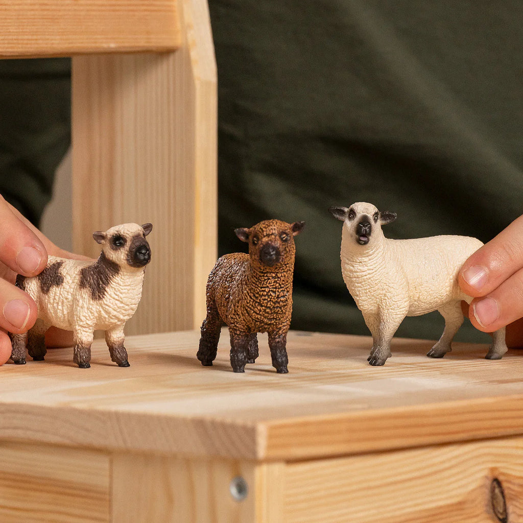 Three toy sheep figures on a wooden surface with hands holding them.