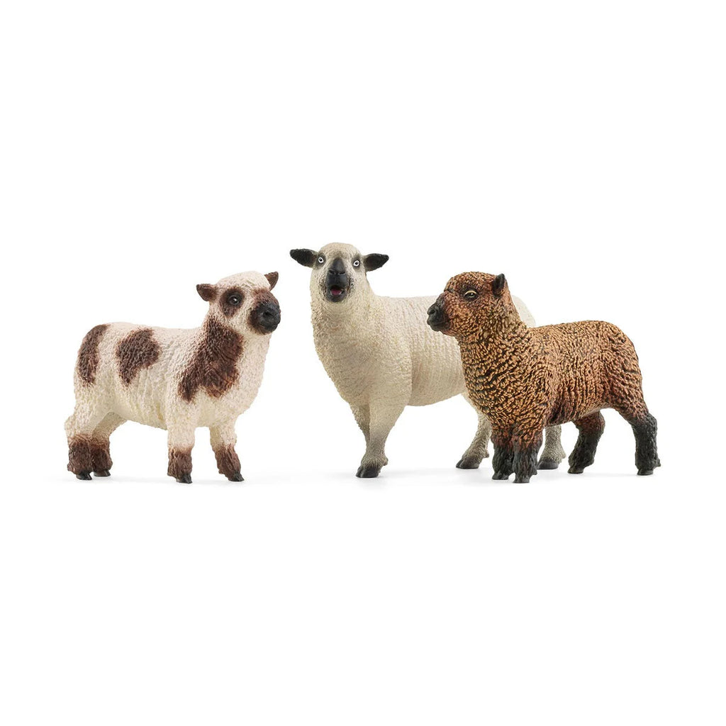 Three toy sheep in different colors on a white background