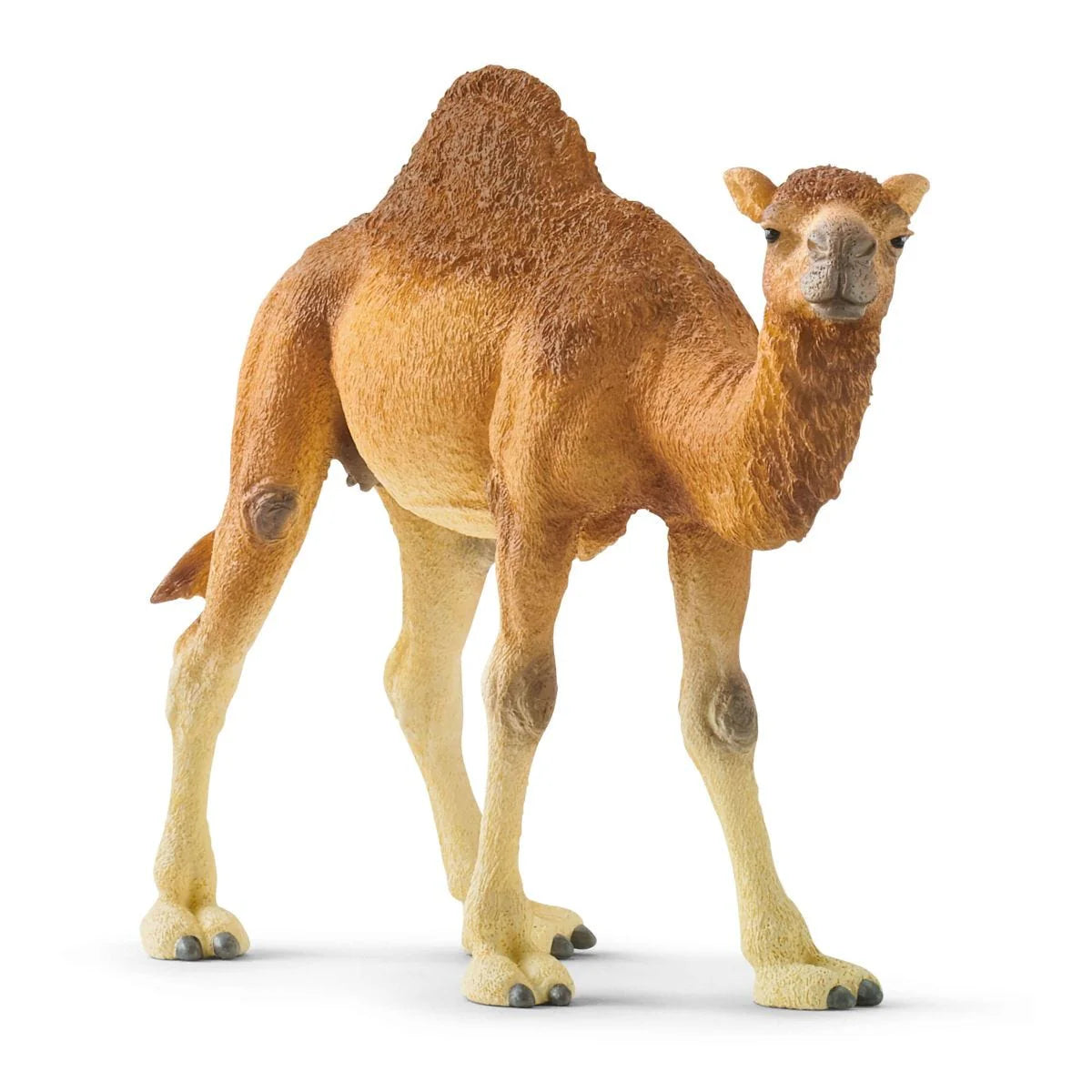 Schleich | Dromedary Camel