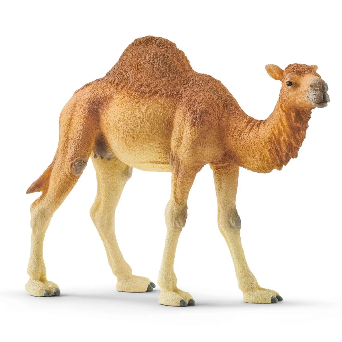 Schleich | Dromedary Camel