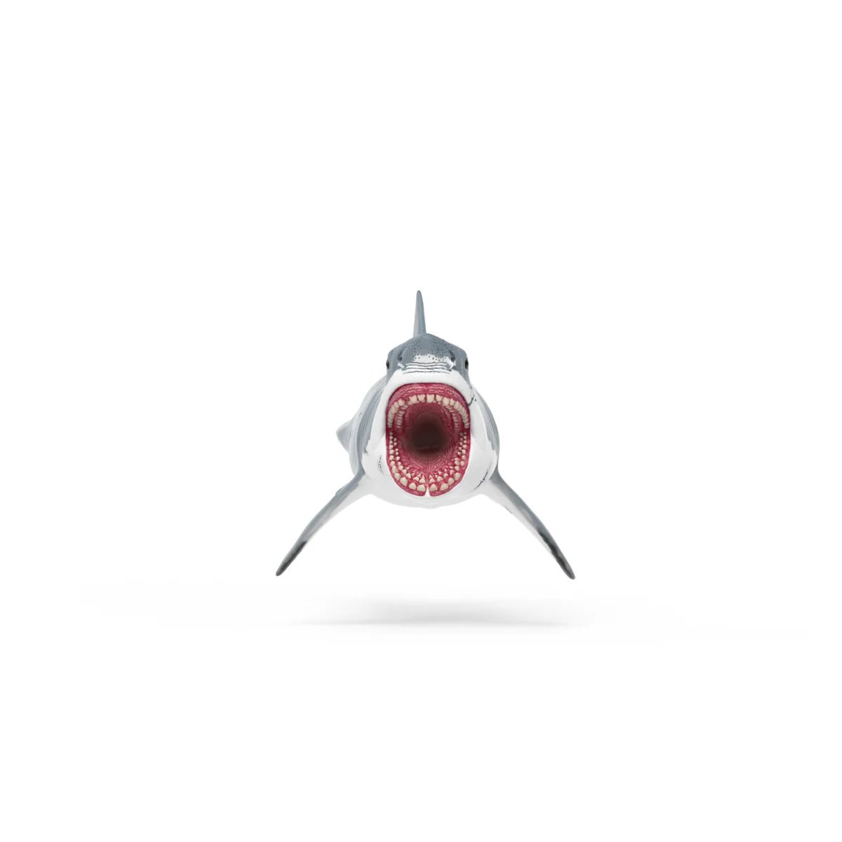 Model of a shark with an open mouth on a white background
