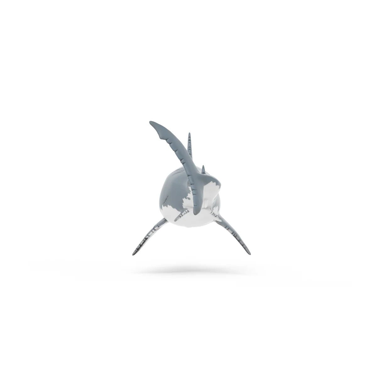 Gray shark illustration on a white background