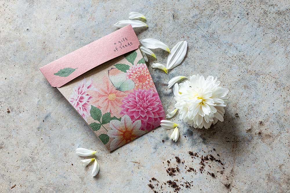 Floral card with a pink envelope on a textured surface with flowers and soil.