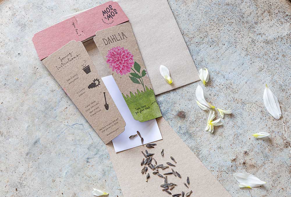 Seed packet with floral design on a textured surface with scattered seeds and petals.
