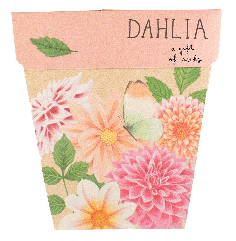 Floral seed packet with 'Dahlia' text on a white background