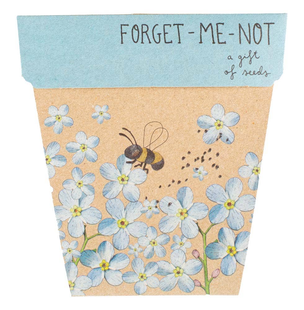 Pack of forget-me-not seeds with a bee illustration on a cardboard envelope.