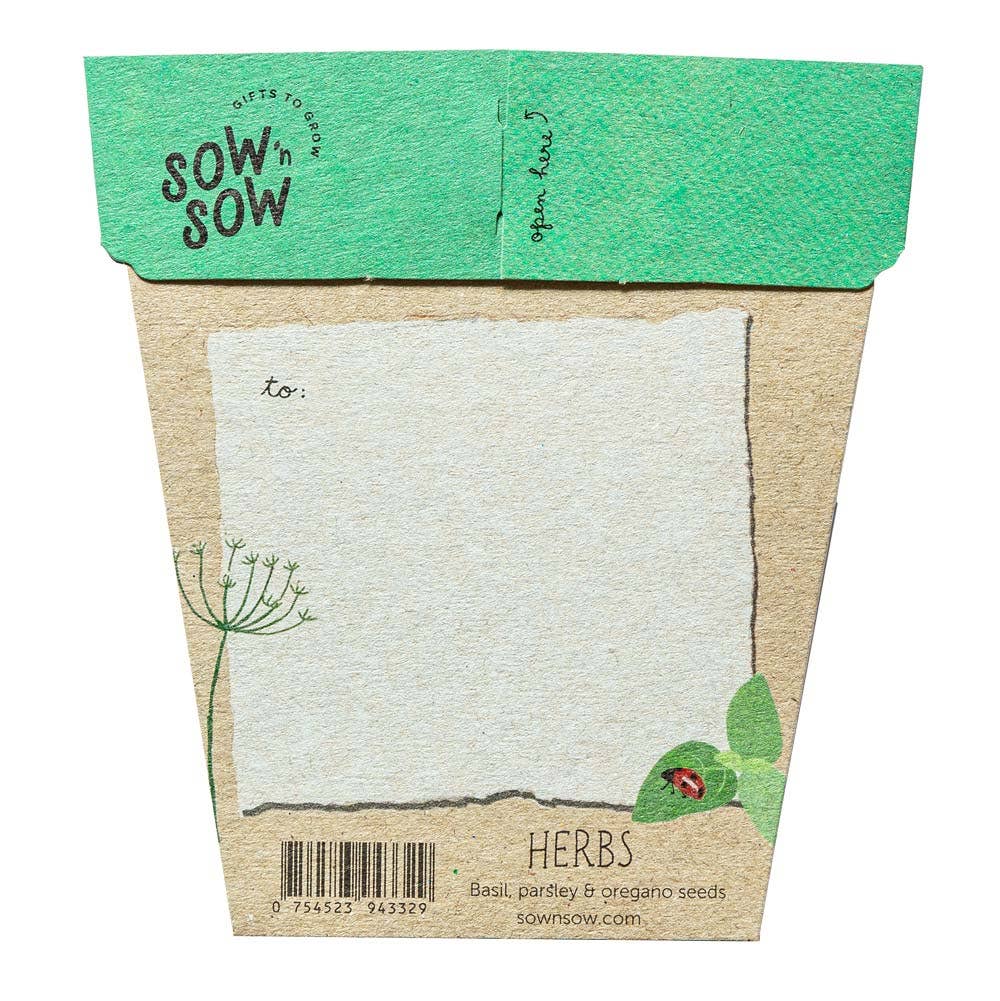 Seed packet with green top and brown body featuring herbs text and illustrations.