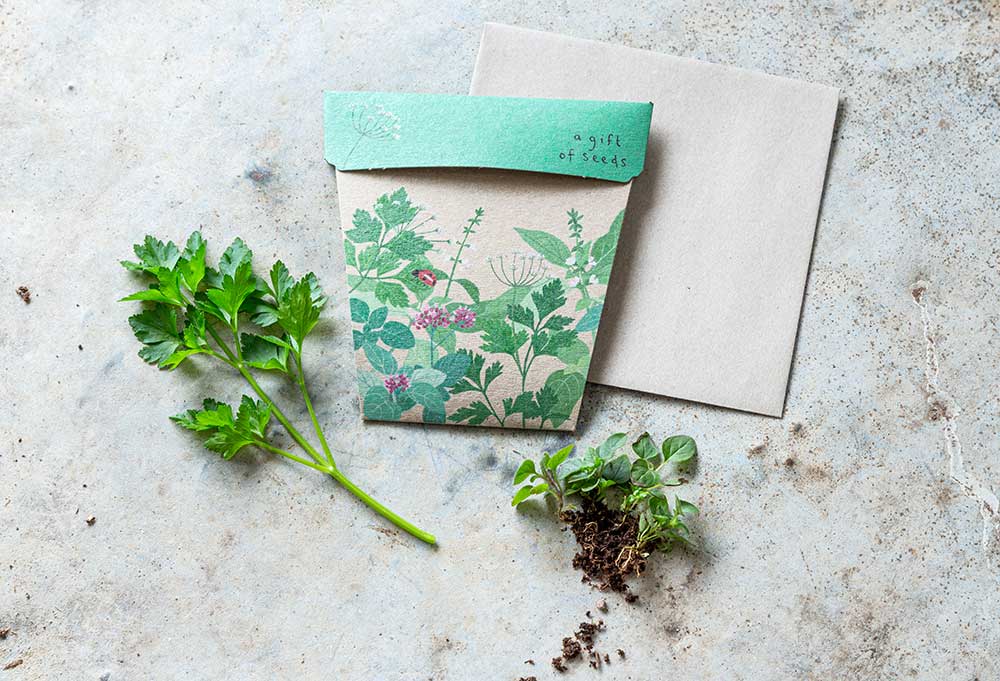 Seed packet with botanical design on a concrete surface with plants and soil.