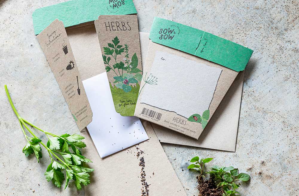 Herb seed packets and plants on a textured surface