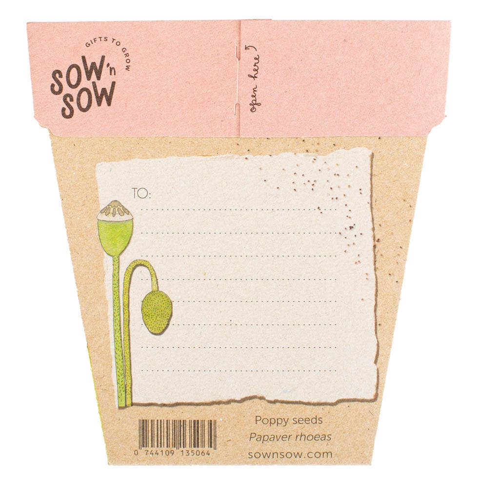 Sow'n Sow seed packet with a label and pink top on a white background