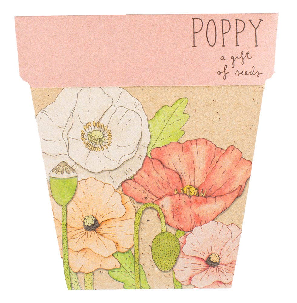 Seed packet with illustrations of poppies and text 'Poppy a gift of seeds' on a pink background