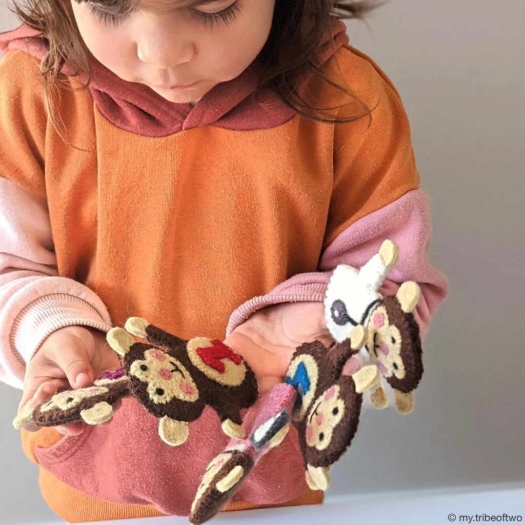 Child holding a colorful felt monkey toy with a plain background