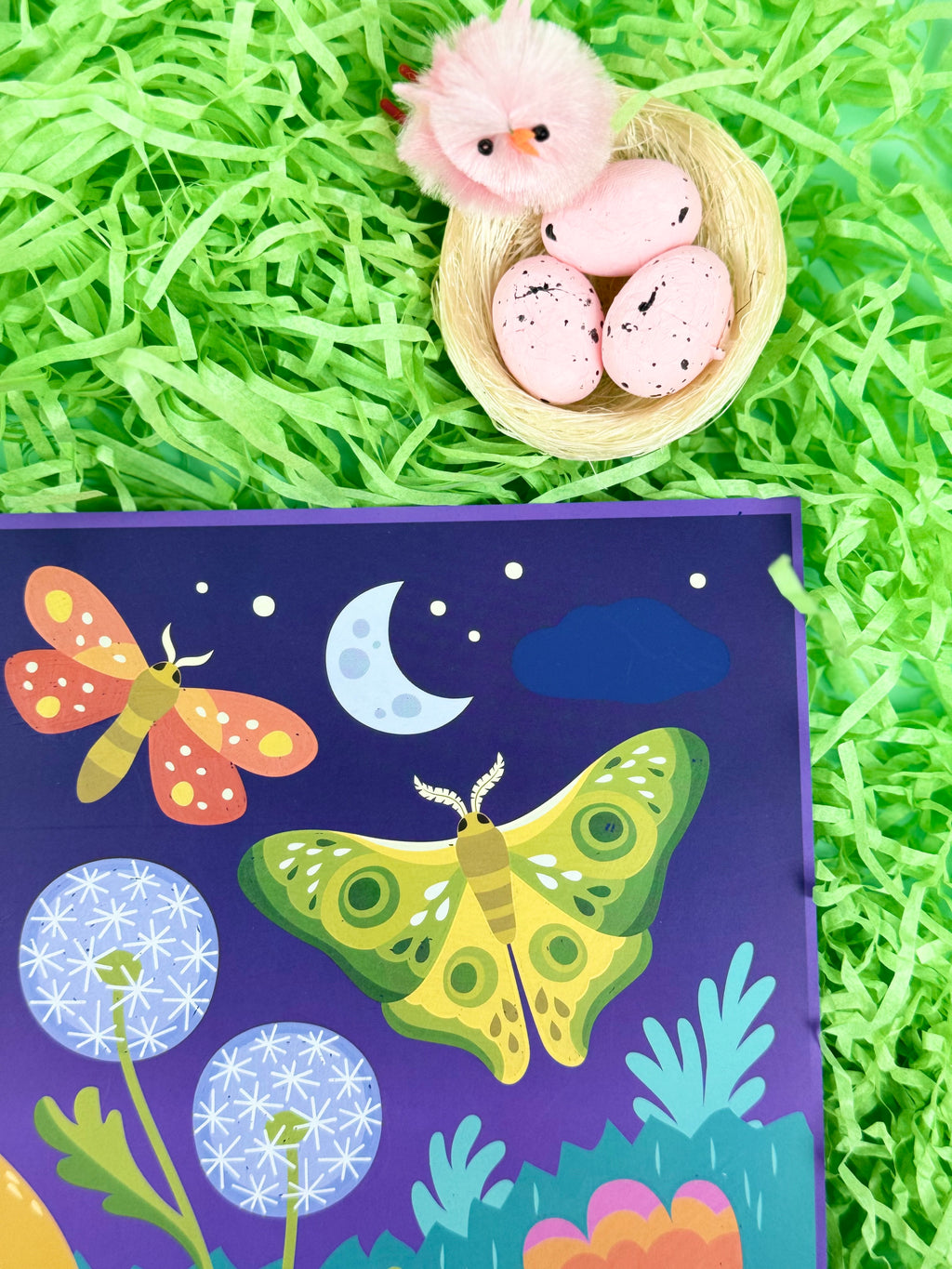 Tiger Tribe - Scratch Art - Garden