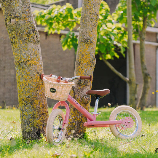 Pink children's bicycle with a basket leaning against a tree in a grassy area.