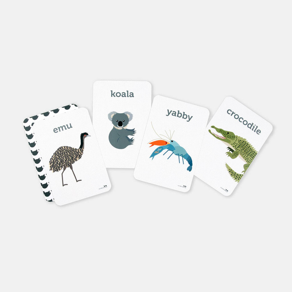 Set of educational flashcards with animal illustrations and labels on a white background