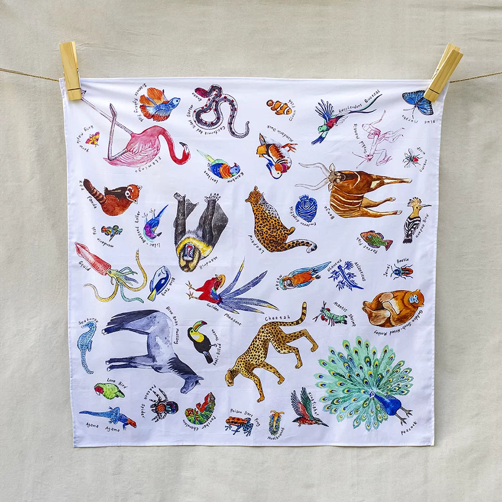 Wonderie | Kingdom of Rainbow Animals - Play Cloth