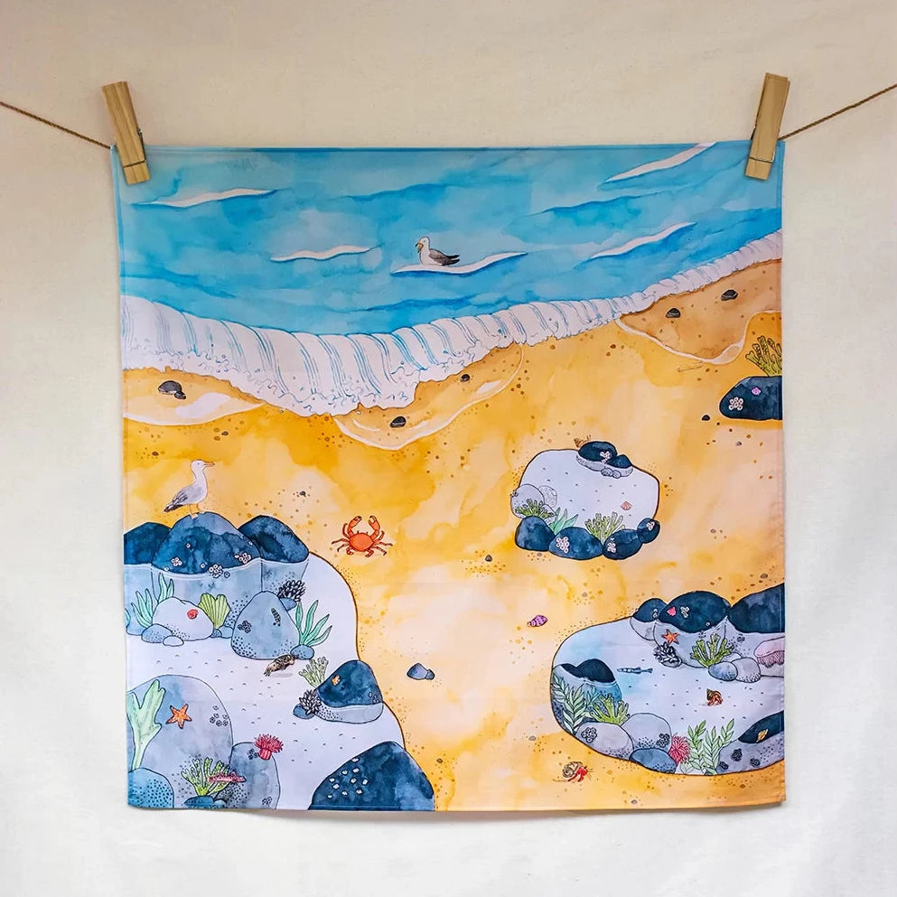 Colorful beach scene with rocks, sand, and sea creatures hanging on a line.