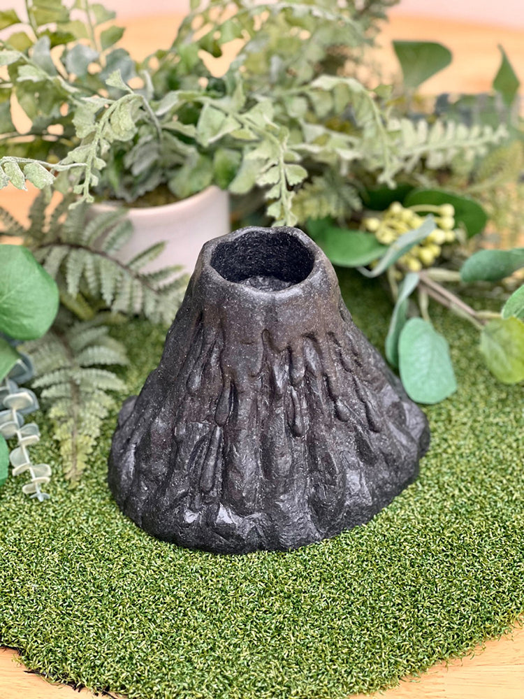 Decorative black stone-like object on a green grassy surface with plants in the background