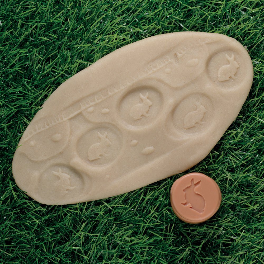 Playdough on grass with bunny stamp