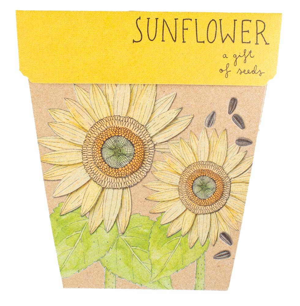 Sunflower - Gift of Seeds