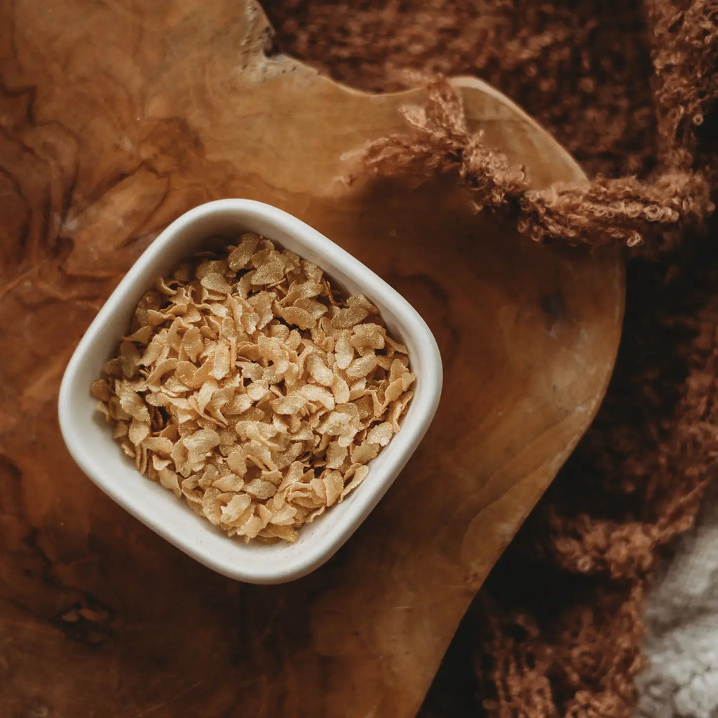 The Saltwater Collective | Iridescent Scales