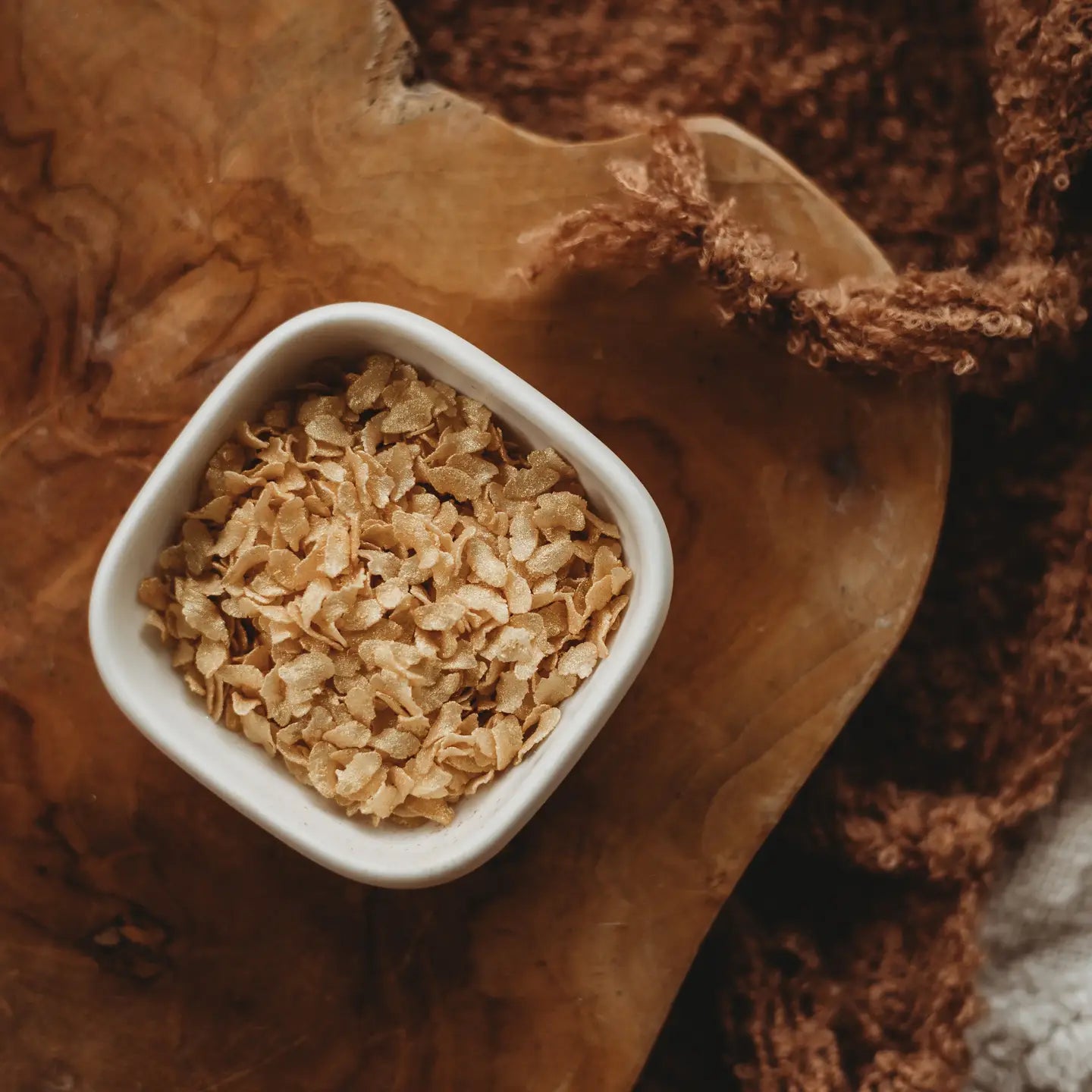 The Saltwater Collective | Iridescent Scales