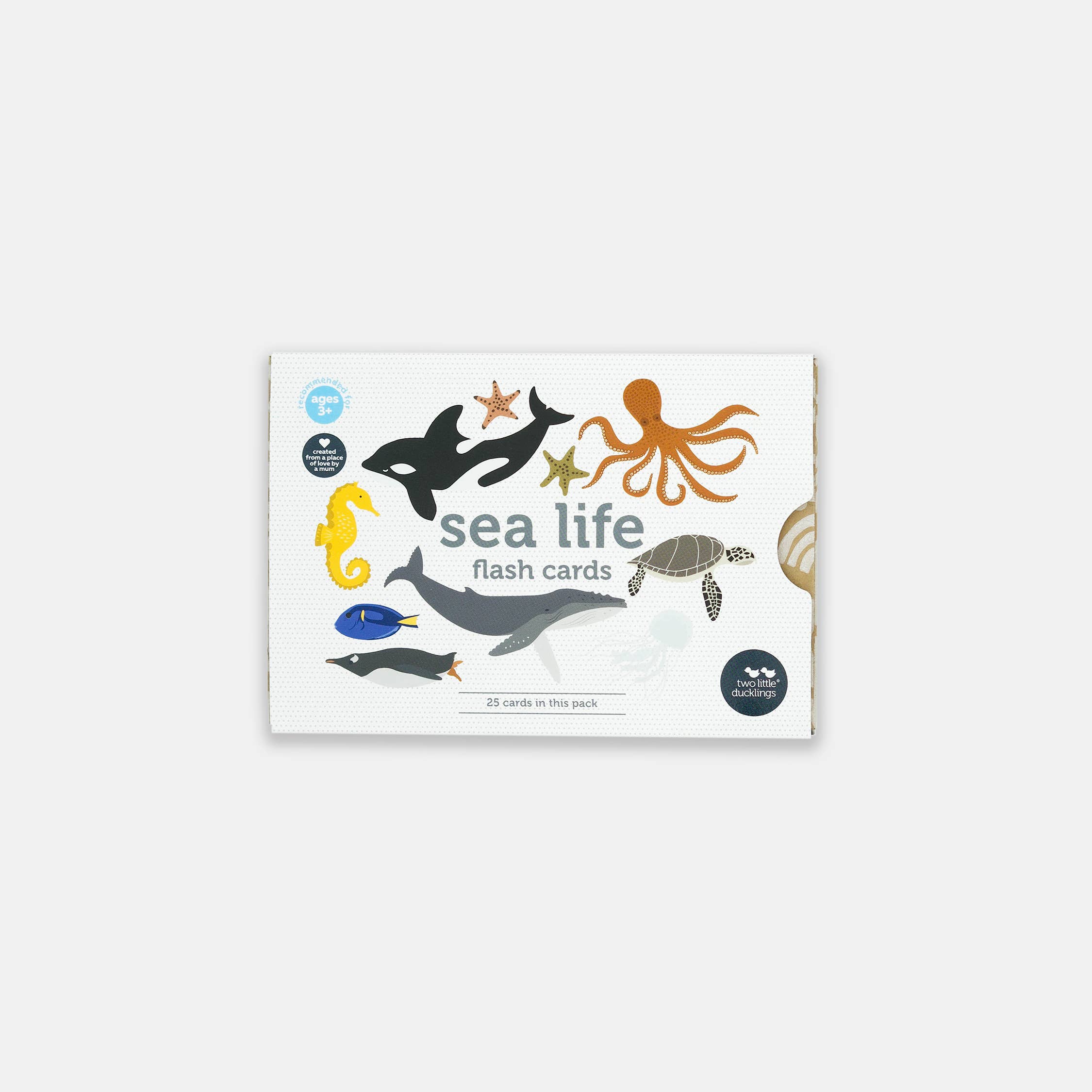 Sea Life - Flash Cards