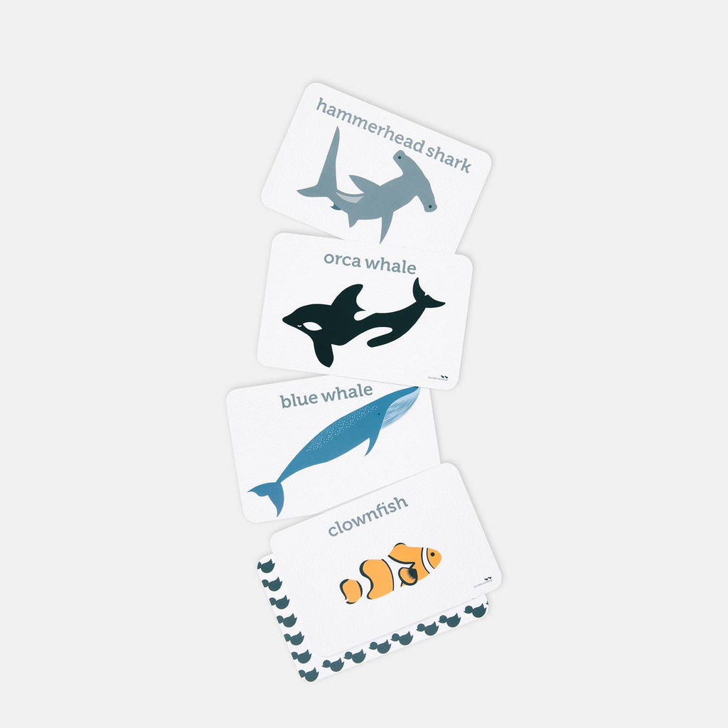 Sea Life - Flash Cards