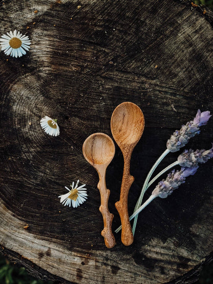 Twiggy (Mini Twig Spoon)