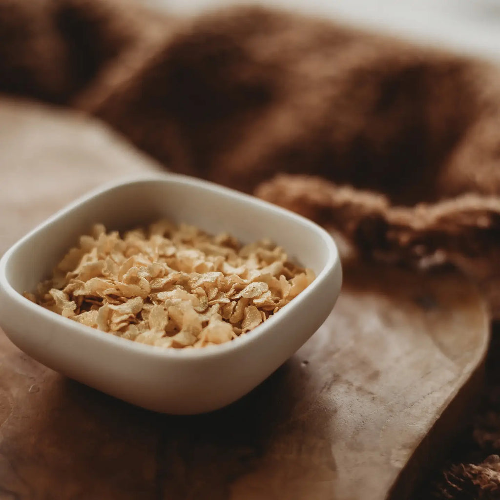 The Saltwater Collective | Iridescent Scales