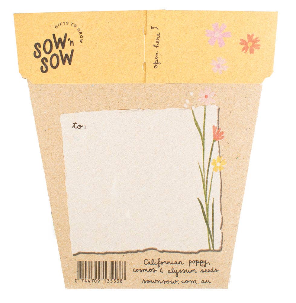 Wildflowers - Gift of Seeds