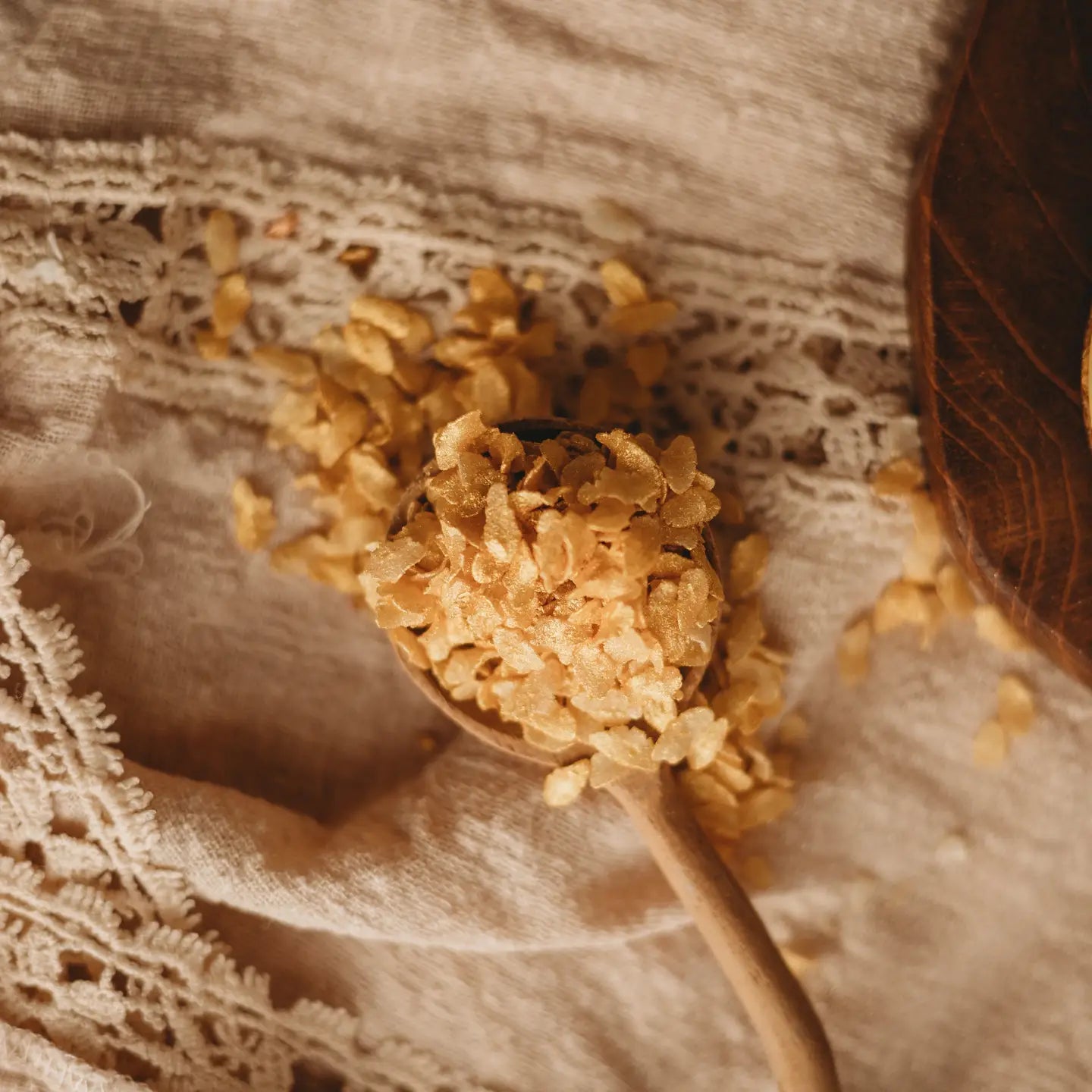 The Saltwater Collective | Iridescent Scales