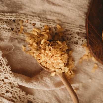 The Saltwater Collective | Iridescent Scales