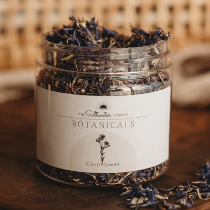 The Saltwater Collective | Botanicals (Small)