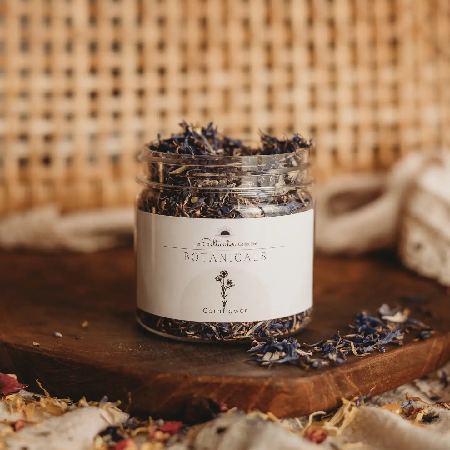 The Saltwater Collective | Botanicals (Small)