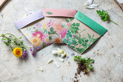 Native Daisies - Gift of Seeds