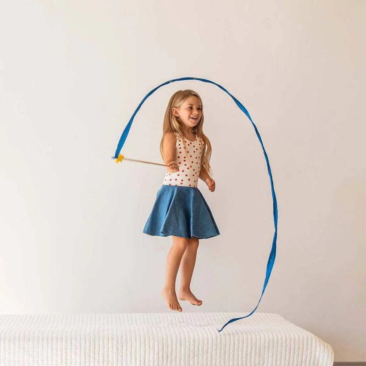 Silk Streamers (Large)